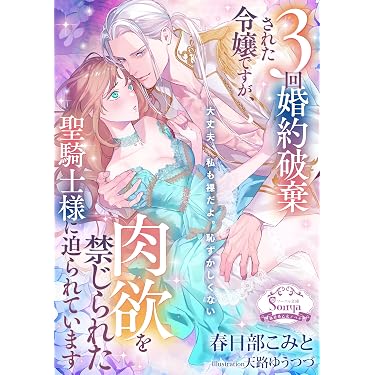 Amazon.co.jp 売れ筋ランキング: ソーニャ文庫 の中で最も人気のある